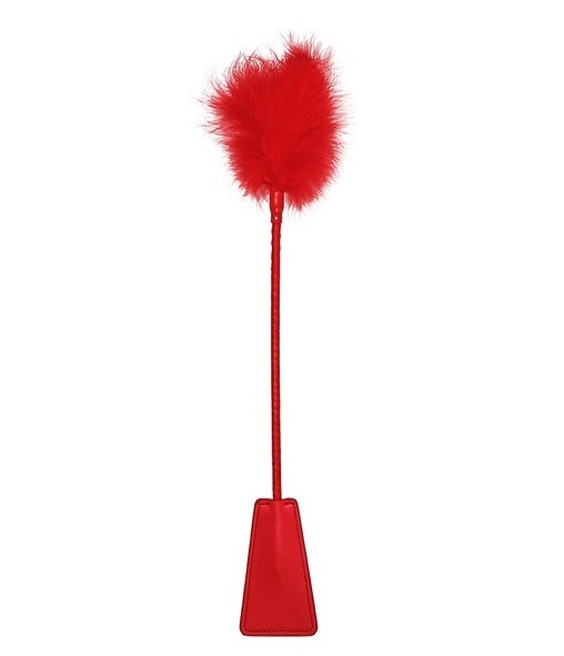 Fusta De Piel Rojo Crop With Feather